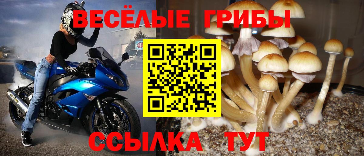 Галлюциногенные грибы мицелий  Вход с VPN  Пыть-Ях  Псилоцибиновые грибы MAGIC MUSHROOMS 
